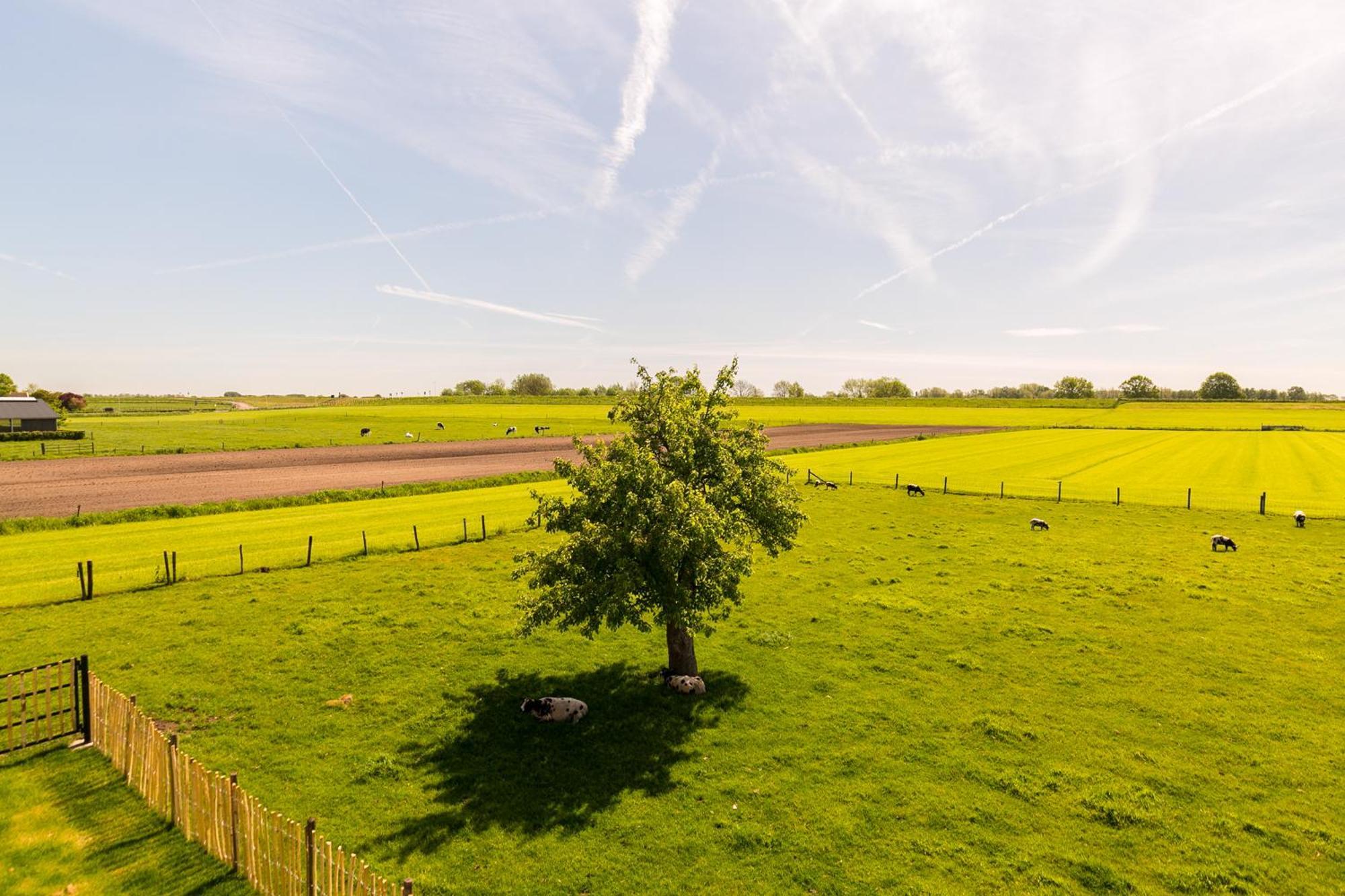 مبيت وإفطار Schalkwijk Boerderij De Zalm المظهر الخارجي الصورة